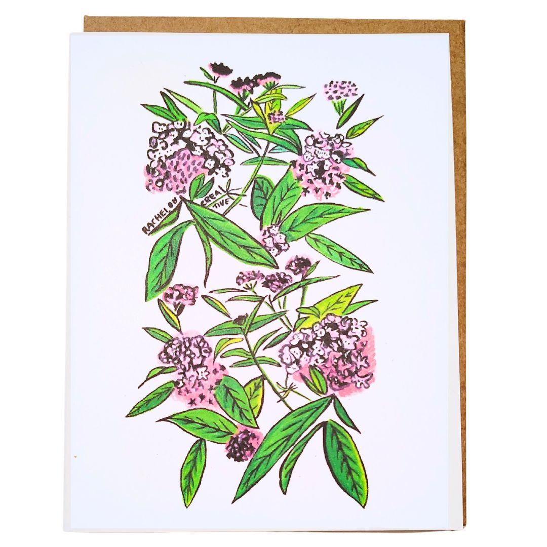 Greeting Card Native Plants Swamp Milkweed