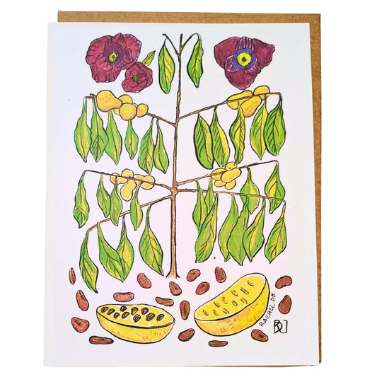 Greeting Card Native Plants Paw Paw Tree